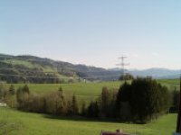 Blick BrenzerWald