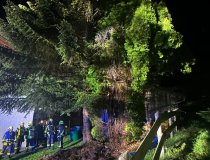 Feuerwehrleute arbeiten nachts an einer Einsatzstelle bei einem Baum