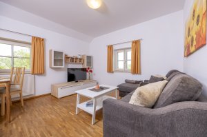 In einem hellen Wohnzimmer stehen ein Sofa, ein Tisch und ein Fernseher. Dezent dekorierte Fenster sorgen für Licht.