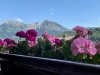 Alpentraum - Der Blick vom Balkon