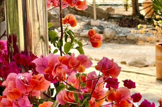 3B3386FB-2CD1-4A1C-9D89-3728CE627B41 1 105 c