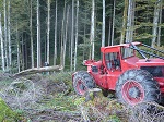 Pecher Oberstdorf - Forstarbeiten
