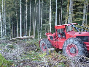Pecher Oberstdorf - Forstarbeiten