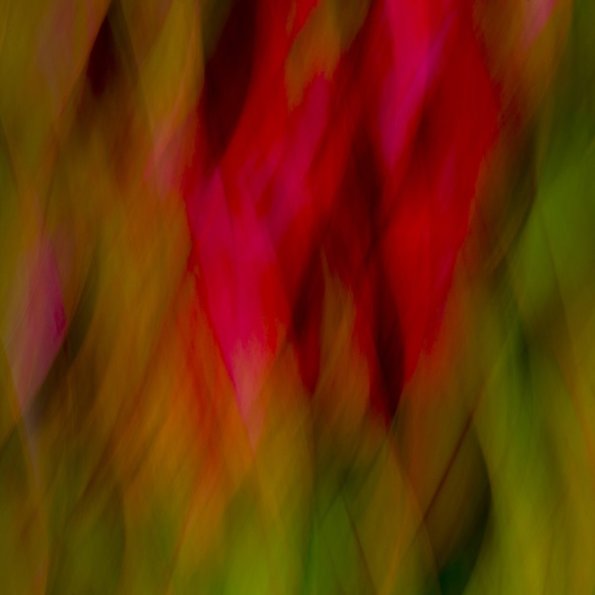 ZEN-ART Blumen - H. J. Netz (9)