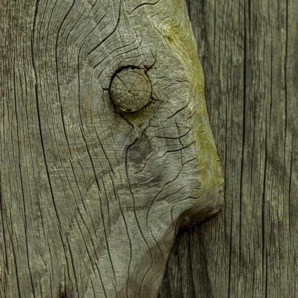 Zen Art WabiSabi - H. J. Netz (5)