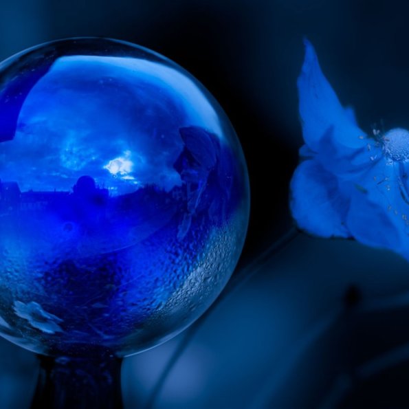 SW-BLAU - S. Brück (3)