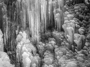 Zen Mountain_Norbert Rosing