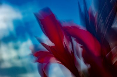 ZA Blumen Paint 1222 HJN 1512P 7