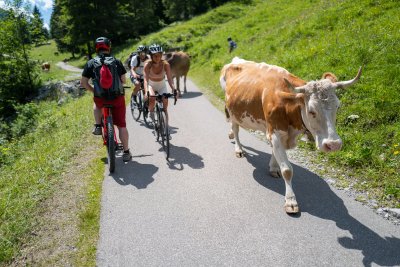 1555 Stillachtal Oberstdorf 176