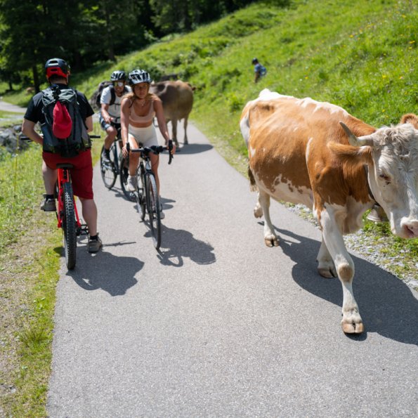 1555 Stillachtal Oberstdorf 176