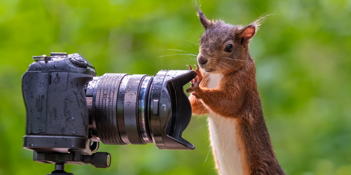 © Frank Fischer Frank Fischer Tierfotografie 2 KeyVisual