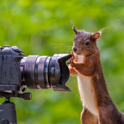 © Frank Fischer Frank Fischer Tierfotografie 2 KeyVisual