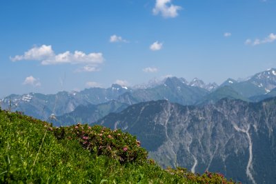 20190630-P6300773
