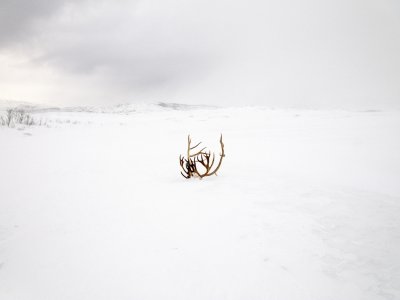 © Rosa Rodriguez