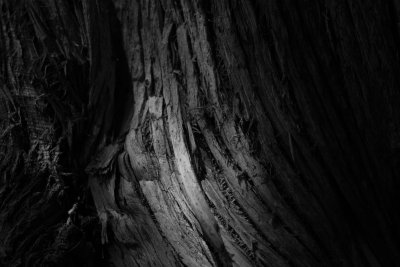 L1006618 - Oberstdorf -SW-HC-FOTOGRAFIE - SB - 4