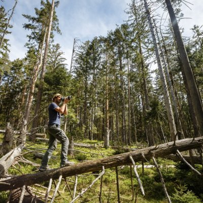 © Black Forest Collective Titelbild Fotohike- Fotowald Fellhorn