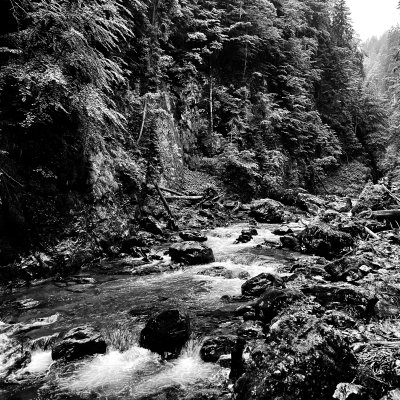 © Micha Pawlitzki BreitNACHTklamm (4)
