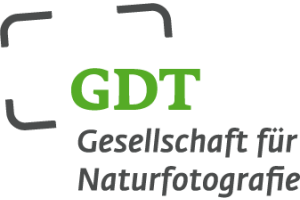 GDT Logo-DE grau-gruen