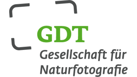 GDT Logo-DE grau-gruen