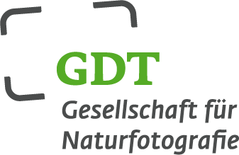 GDT Logo-DE grau-gruen