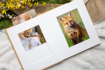 Hahnemühle Bamboo Gloss Baryta Print in Qt slip in Album