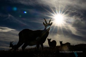 © Karsten Mosebach