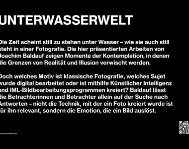 Joachim Baldauf Ausstellung