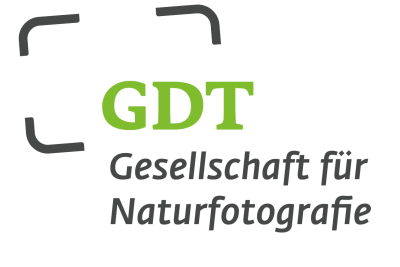 GDT Logo-DE grau-gruen