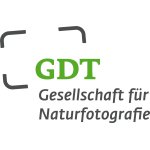 GDT Logo-DE grau-gruen