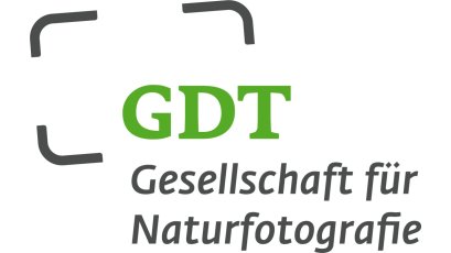 GDT Logo-DE grau-gruen