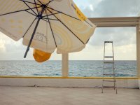 New Talent Award 2025