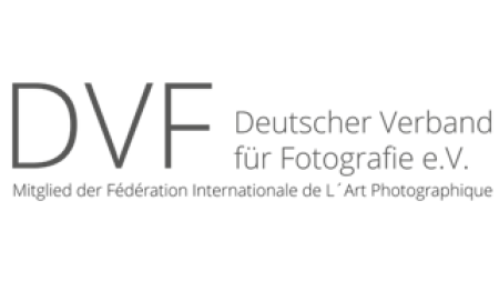 DVF Logo