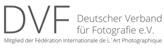 DVF Logo