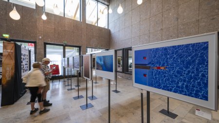 2025 Ausstellung DVF (1)