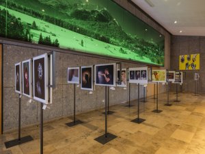 2025 Ausstellung DVF (4)