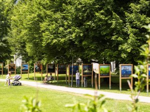2025 Ausstellung GDT (3)