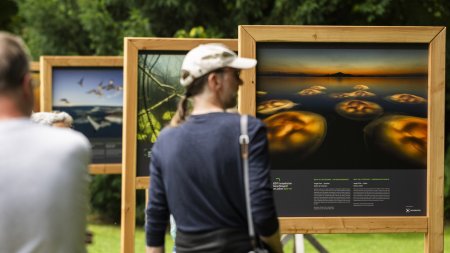 2025 ausstellung GDT (4)