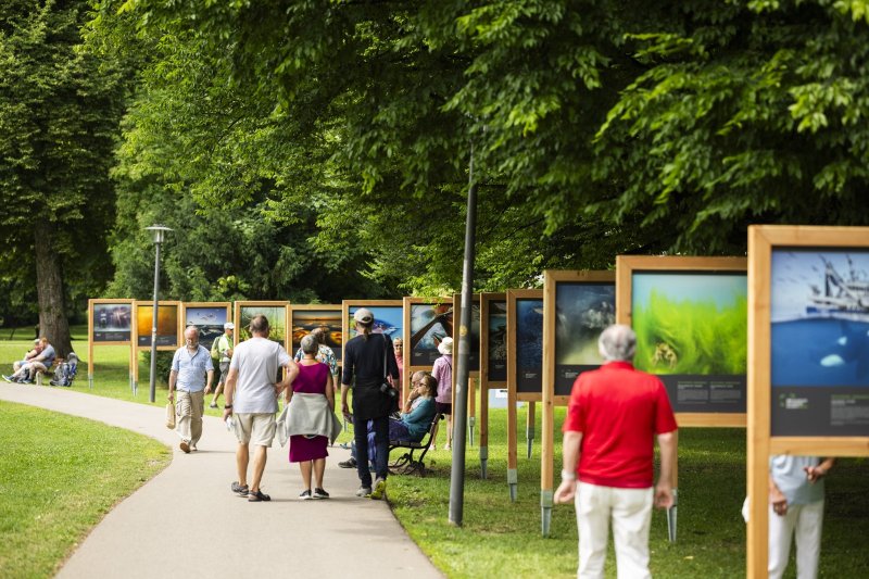 2025 ausstellung GDT (6)