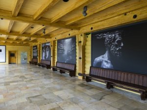 2025 Ausstellung J. Baldauf (7)
