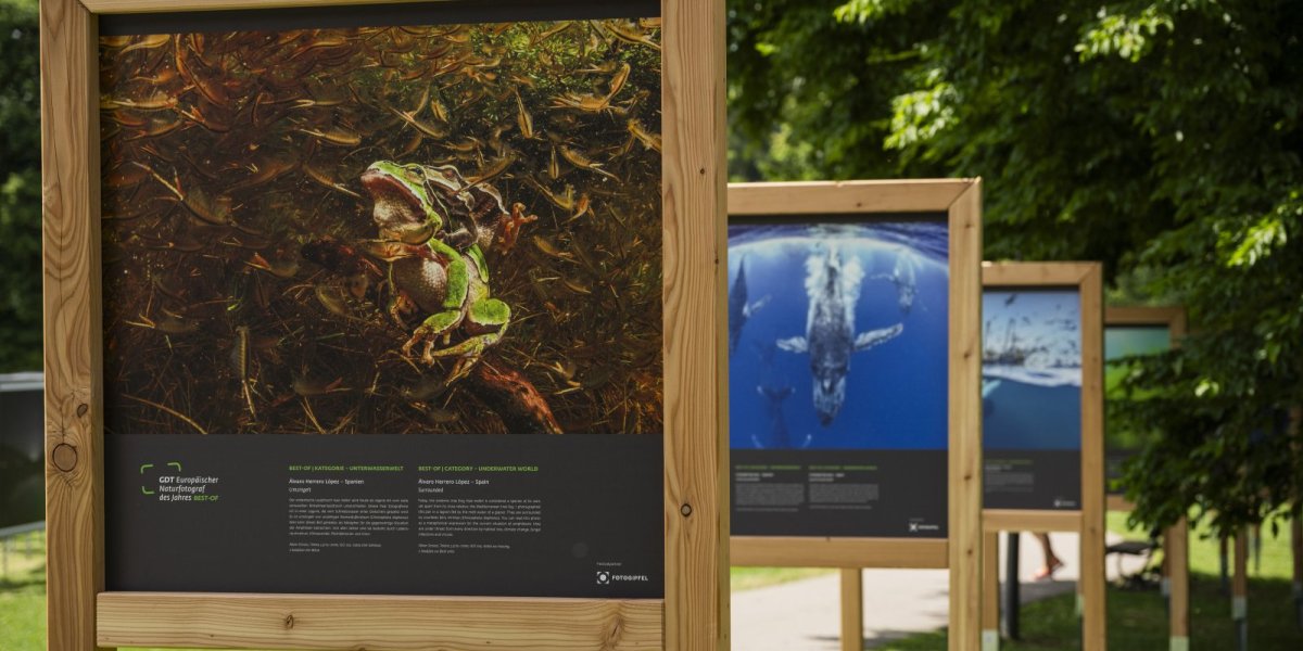 2025 Ausstellung ULF (3)