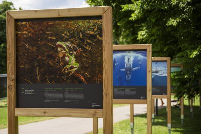 2025 Ausstellung ULF (3)