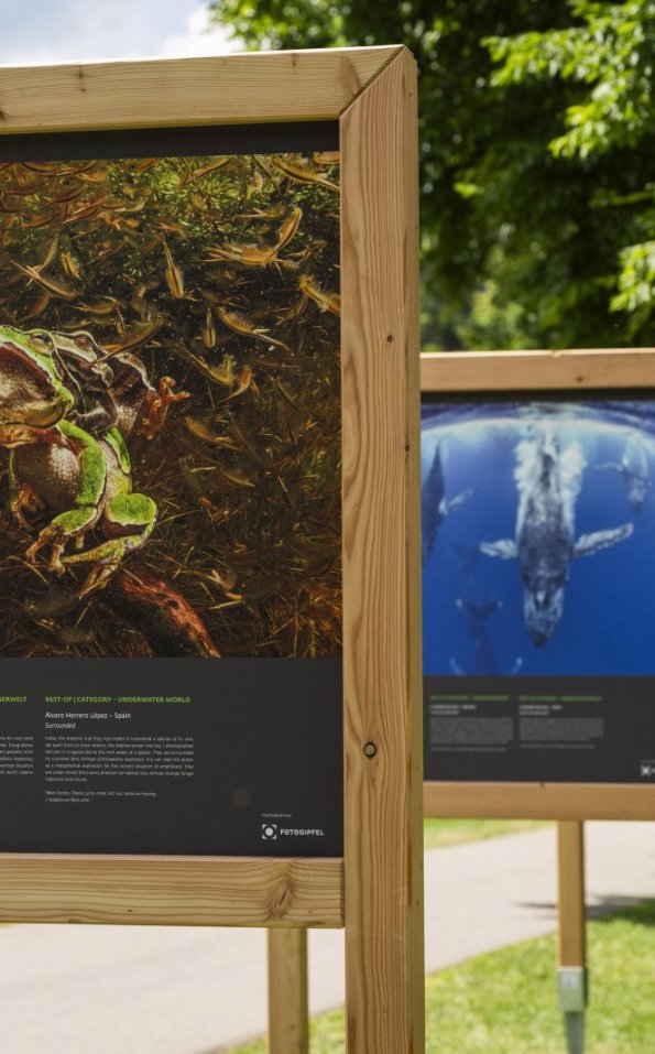 2025 Ausstellung ULF (3)