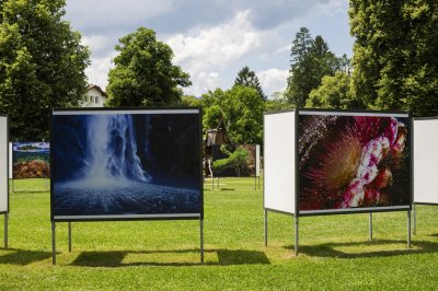 2025 Ausstellung ULF (4)