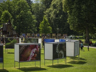 2025 Ausstellung ULF
