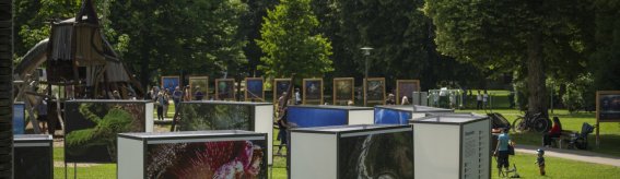 2025 Ausstellung ULF