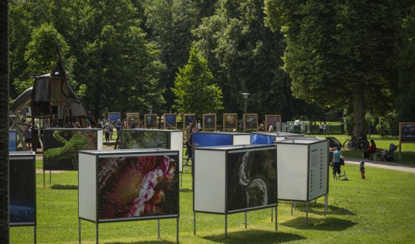 2025 Ausstellung ULF