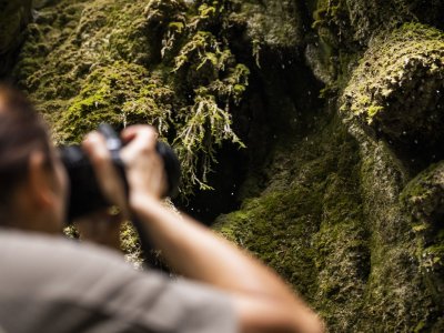 Wasserfall Workshop