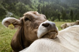 Radfahren Oberstdorf -100