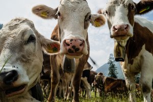 Radfahren Oberstdorf -101