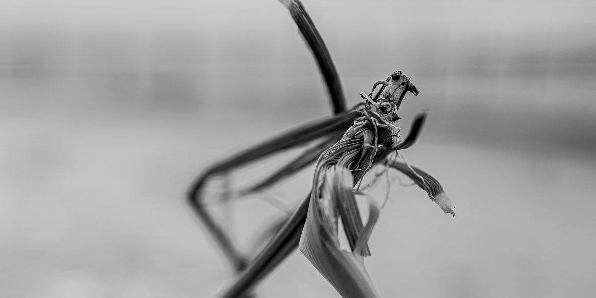 Oberstdorf Lichtriesen-Al-1